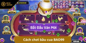 Cách chơi bầu cua chuẩn xác: Đặt cược thông minh tại BAO99