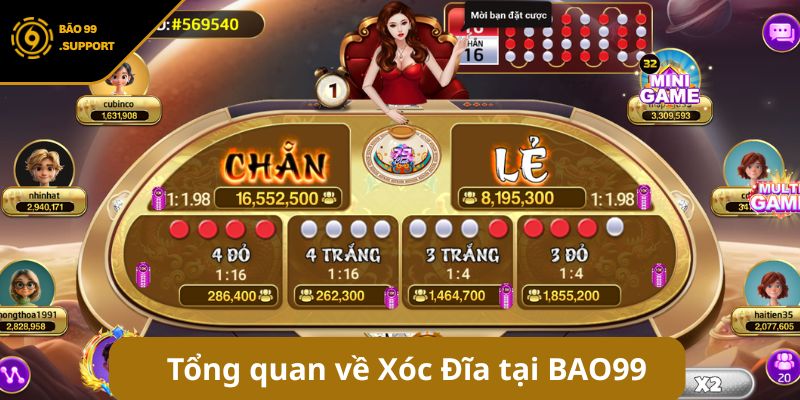 Cách chơi xóc đĩa online dễ thắng tại cổng game BAO99 5 Tổng quan về Xóc Đĩa tại cổng game BAO99